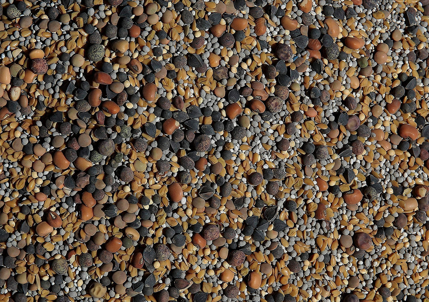 No-Till Cover Crop 13-Seed Mix: 50% Clovers Plus Fenugreek, Vetch, Flax, Cowpeas, Buckwheat, Forage Peas, Millet, Lentils (45-Lb