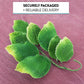 Global Sugar Art Rose Leaf Sugar Cake Flowers Spray, 3 Count, Green with Yellow