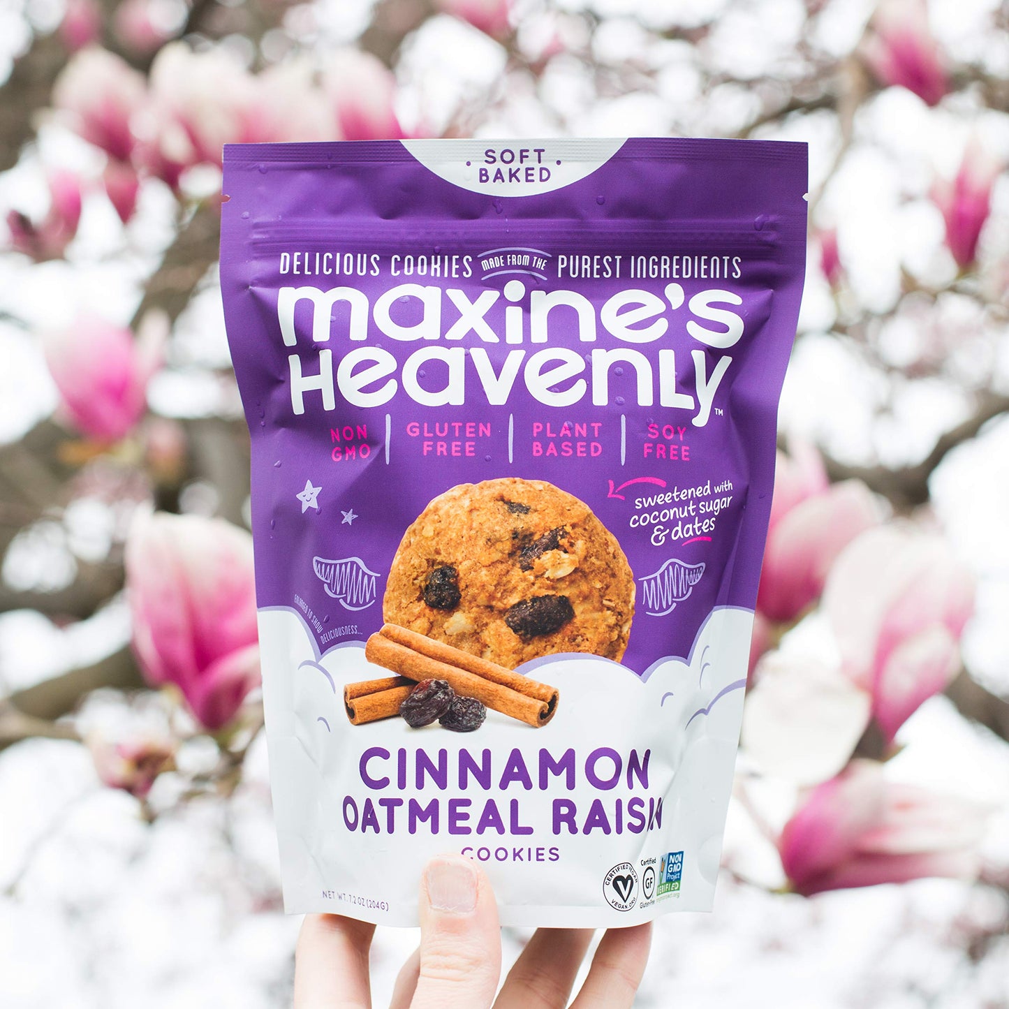 Maxine'S Heavenly - Plant Based, Gluten Free, Low Sugar - Cinnamon Oatmeal Raisin Cookies (1 Pack)