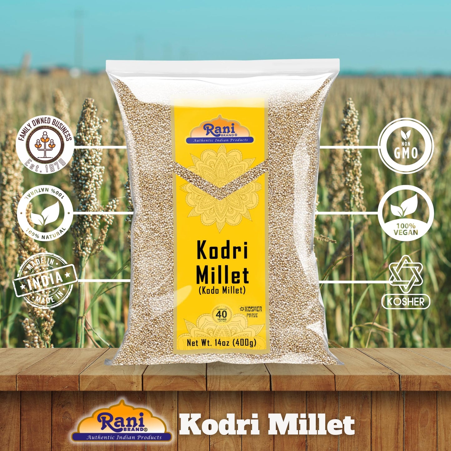 Rani Brand Kodo Millet Seeds - All Natural, Gluten Friendly, NON-GMO, Vegan - 400g (14oz) - Indian Origin