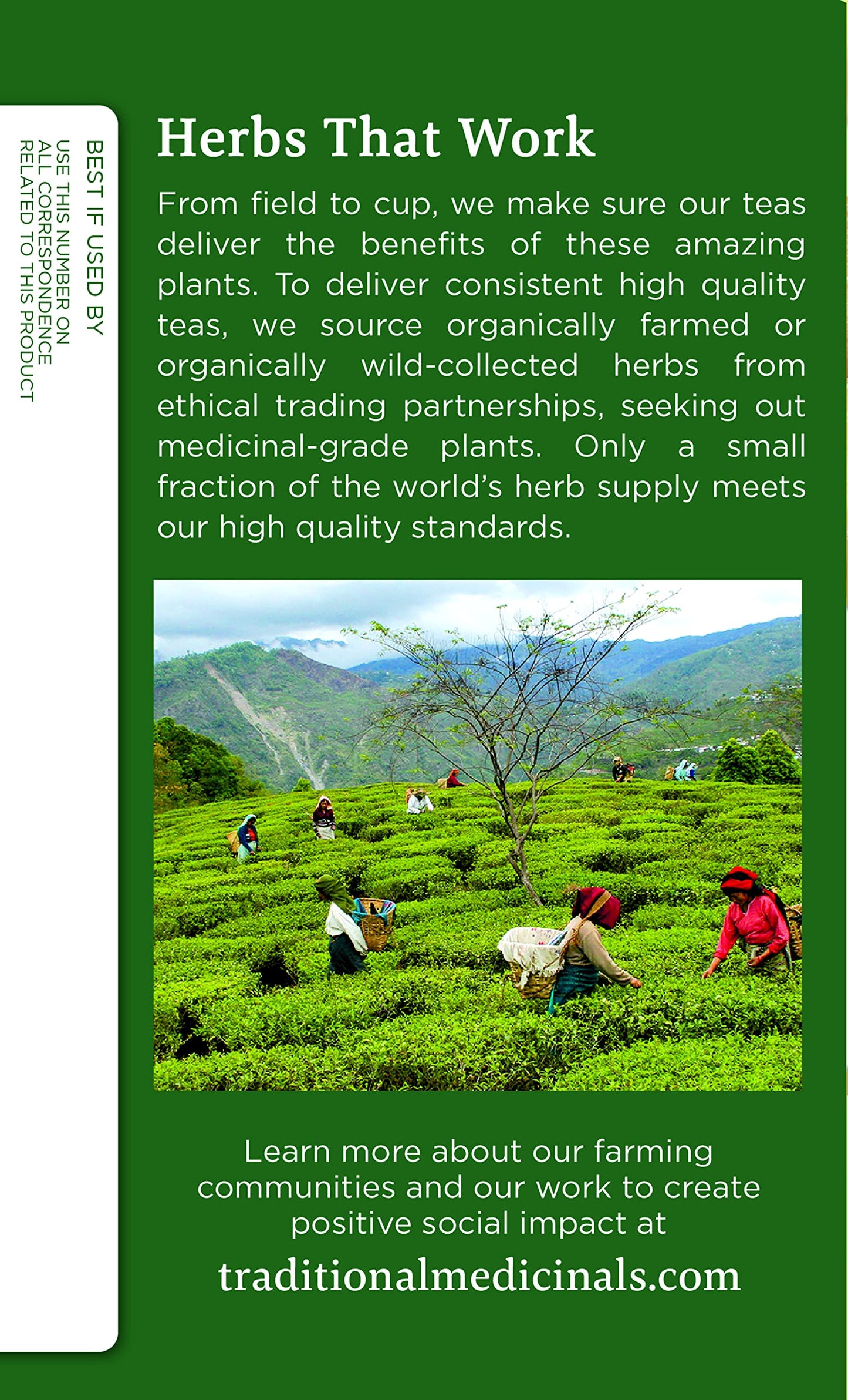 Traditional Medicinals Organic Ginger & Chamomile Herbal Tea, Relieves Occasional Indigestion or Nausea, (Pack of 1) - 16 Tea Ba