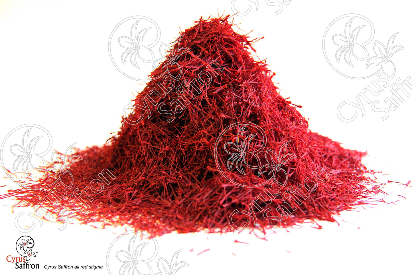 Cyrus Saffron Spanish Saffron 100% Pure Coupe 5 Gram - Aragon Spain