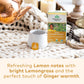 ORGANIC INDIA Tulsi Lemon Ginger Tea Bags - Herbal, Vegan, USDA Organic - 18 Count - Caffeine-Free
