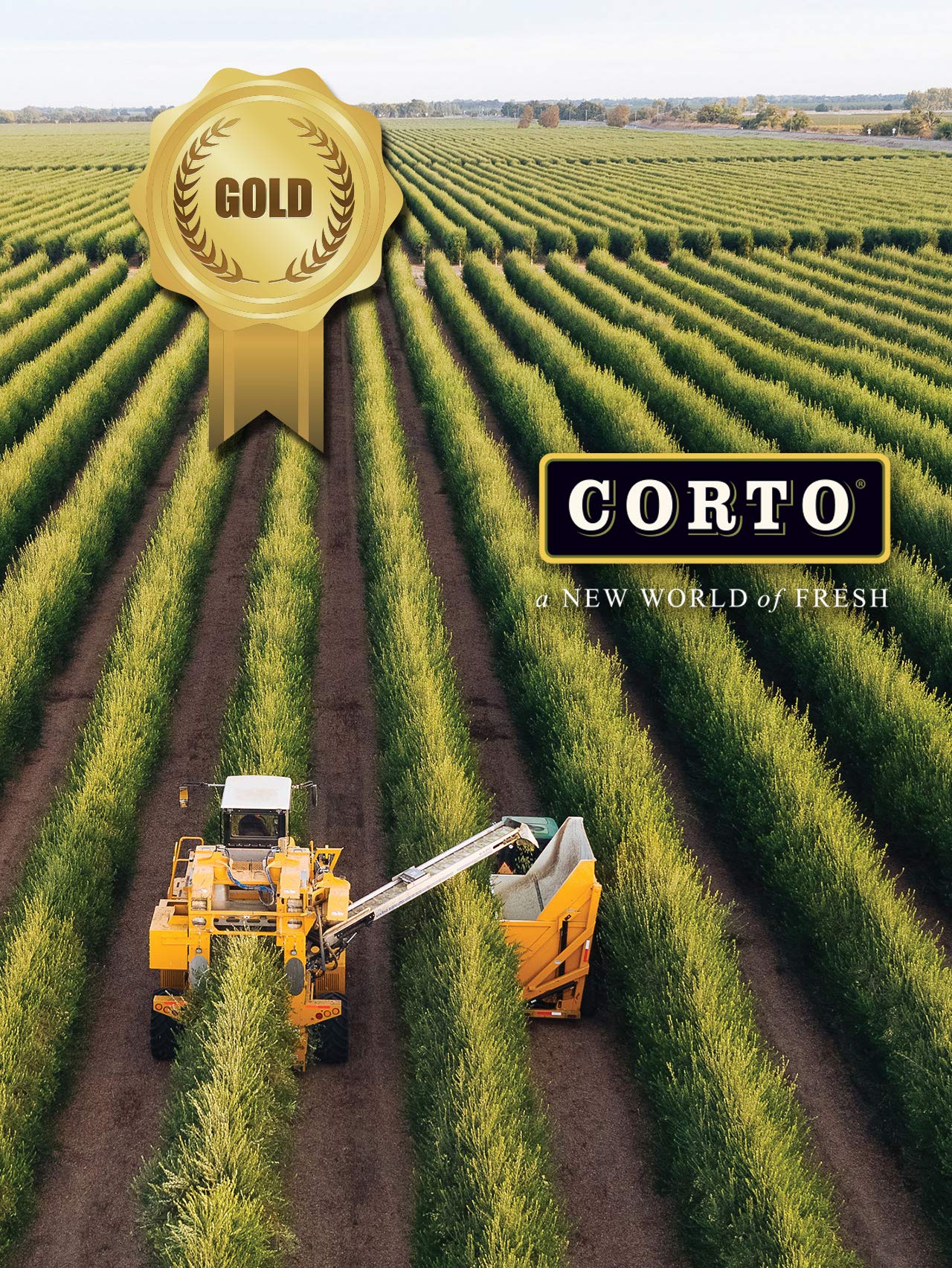 Corto Truly® | 100% Extra Virgin Olive Oil | Floral Notes | Cold Extracted In State-Of-The-Art Mill | Straight From Official Corto Olive Groves & Oil Producer | Oxygen-Free, Light Free Flavorlock Box