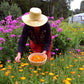 Calendula Petals - Pure Dried Marigold Flower Petals - Vegan | Gluten Free | Non-Gmo | No Sugar Added - Net Weight: 0.35Oz / 10G
