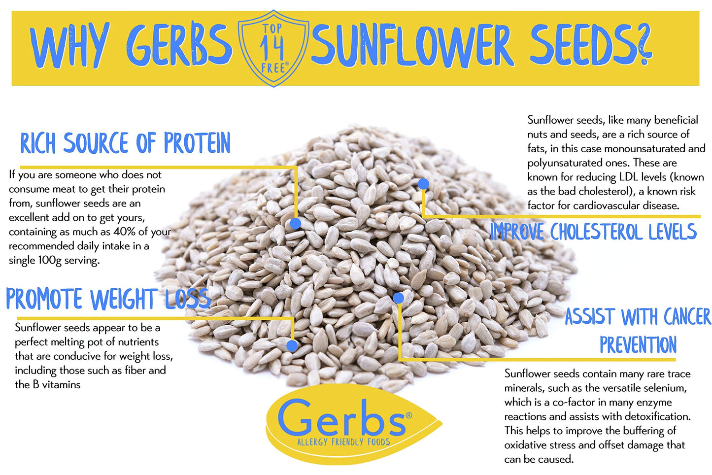 Gerbs Raw Sunflower Seed Kernels 14Oz. | Grown In Usa & Packaged In Resealable Bulk Bag | Keto & Paleo |Allergen Friendly | Packed With Protein & Omega Fats | Gluten Peanut Tree Nut Allergy Free