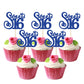 Gyufise 24 Pack Cupcake Toppers Glitter Happy Sweet 16 Decorations, Blue, Model ZN0475-4-DBL