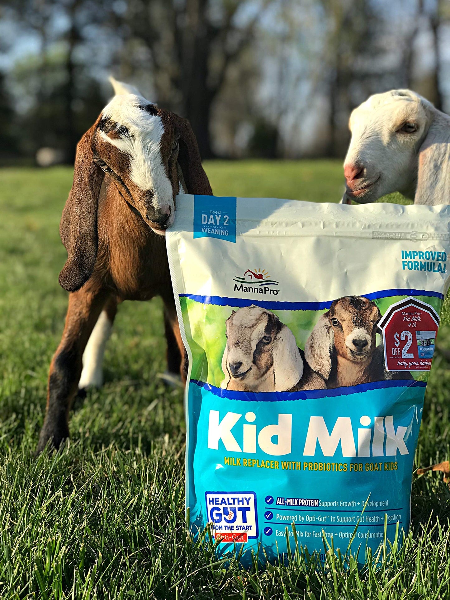 Manna Pro Goat Kid Milk Replacer, High In Protein To Support Growth, Powered By Opti-Gut To Support Gut Health & Digestion, Easy