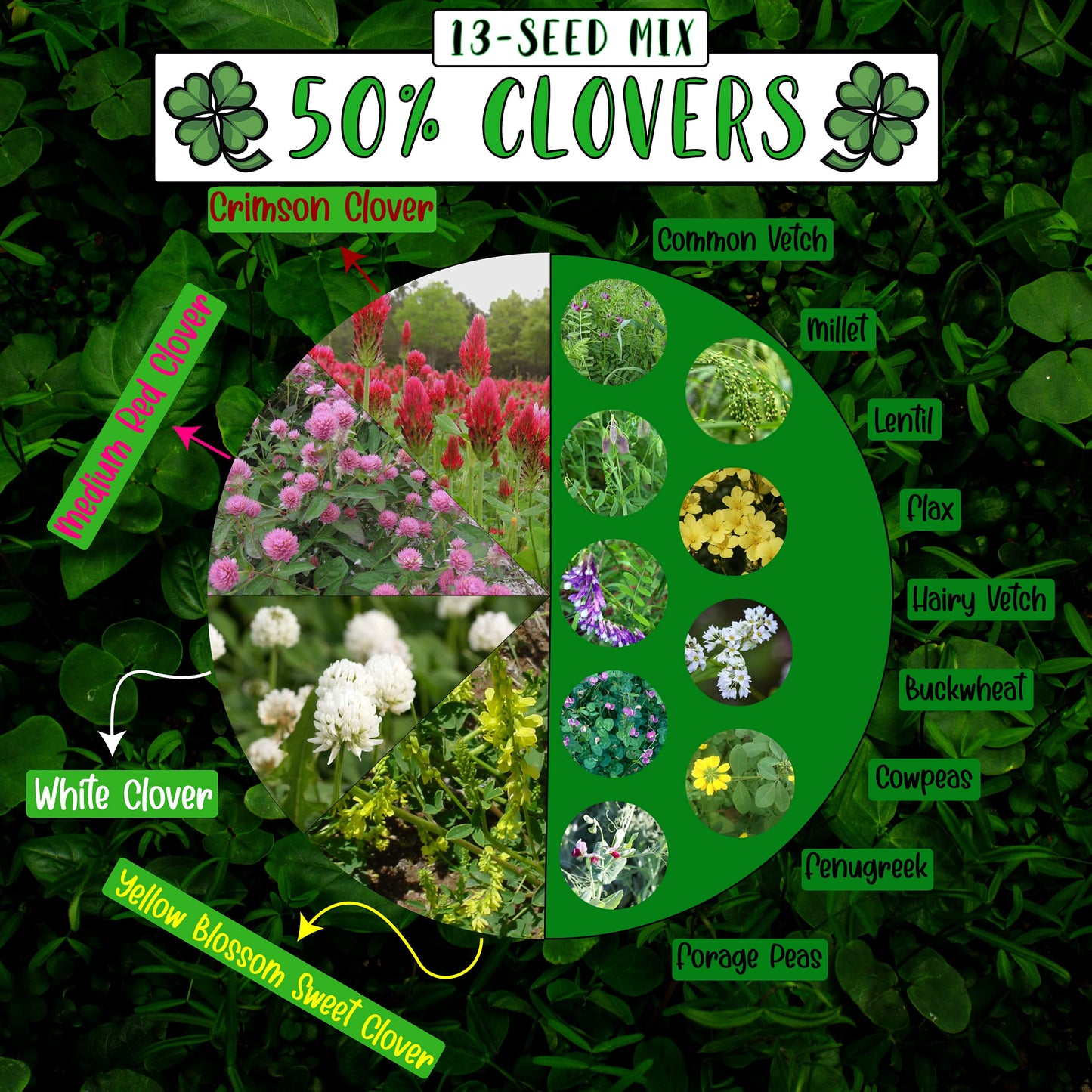 No-Till Cover Crop 13-Seed Mix: 50% Clovers Plus Fenugreek, Vetch, Flax, Cowpeas, Buckwheat, Forage Peas, Millet, Lentils (45-Lb