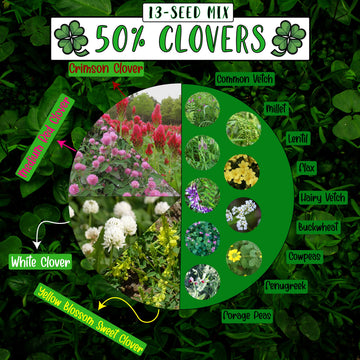 No-Till Cover Crop 13-Seed Mix: 50% Clovers Plus Fenugreek, Vetch, Flax, Cowpeas, Buckwheat, Forage Peas, Millet, Lentils (45-Lb