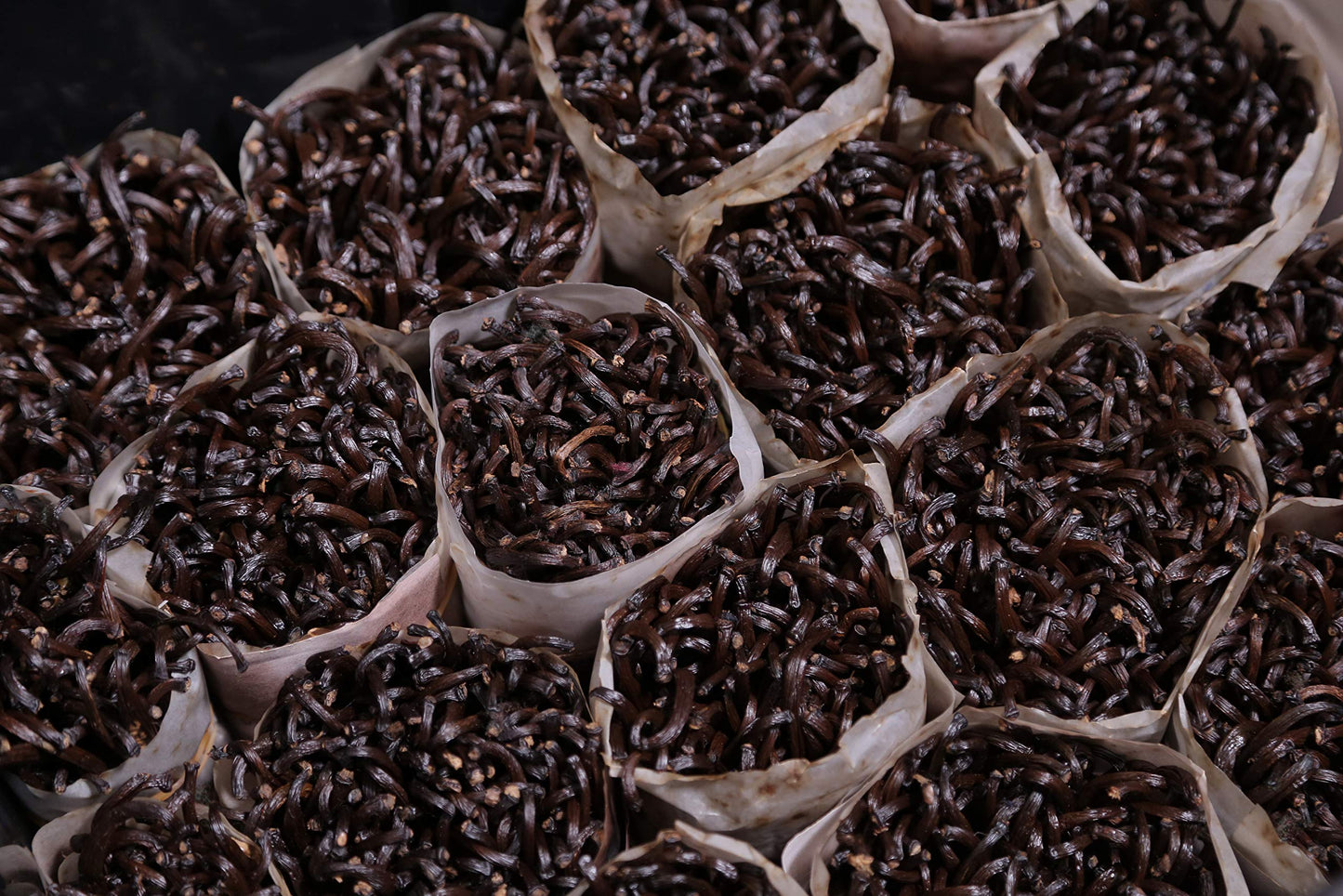 Bakto Flavors Vanilla Beans - 10 Vanilla Beans from Tanzania, 18.2 cm x 4 cm, Pecan Color