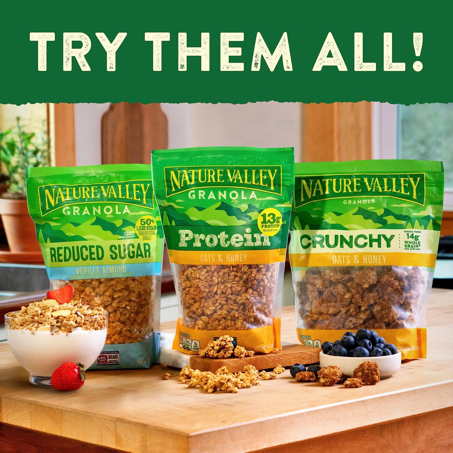 Nature Valley Protein Granola, Oats and Honey, Family Size, Resealable Bag, 17 OZ (Pack of 2)