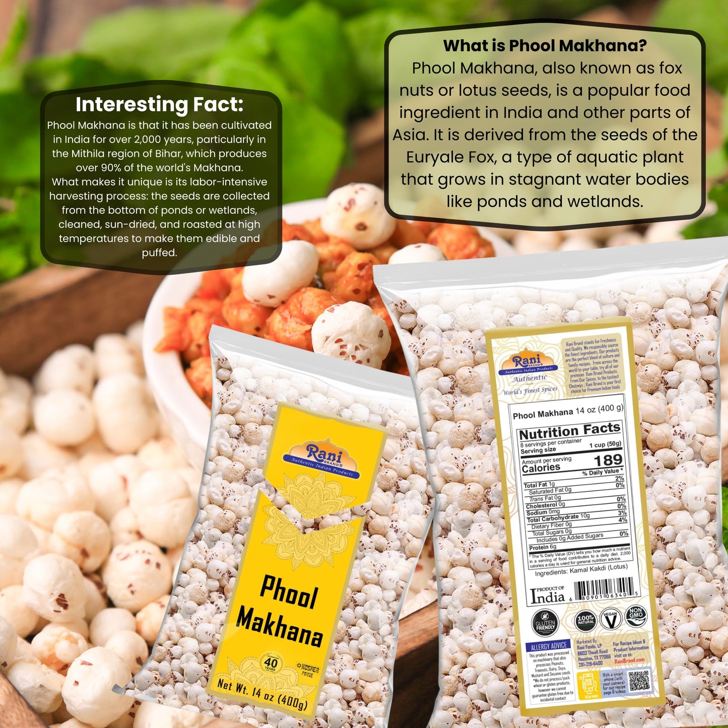 Rani Jumbo Phool Makhana (Fox Nut) Plain Raw 14oz (400g) | Vegan | Gluten Friendly | NON-GMO | Kosher | Indian Origin