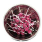 Halloween Red Raspberry Tootsie Pops Bulk Candy 50+ Count Lollipops Suckers Variety Value Pack Aprox. 2.25 lbs (36 Oz)