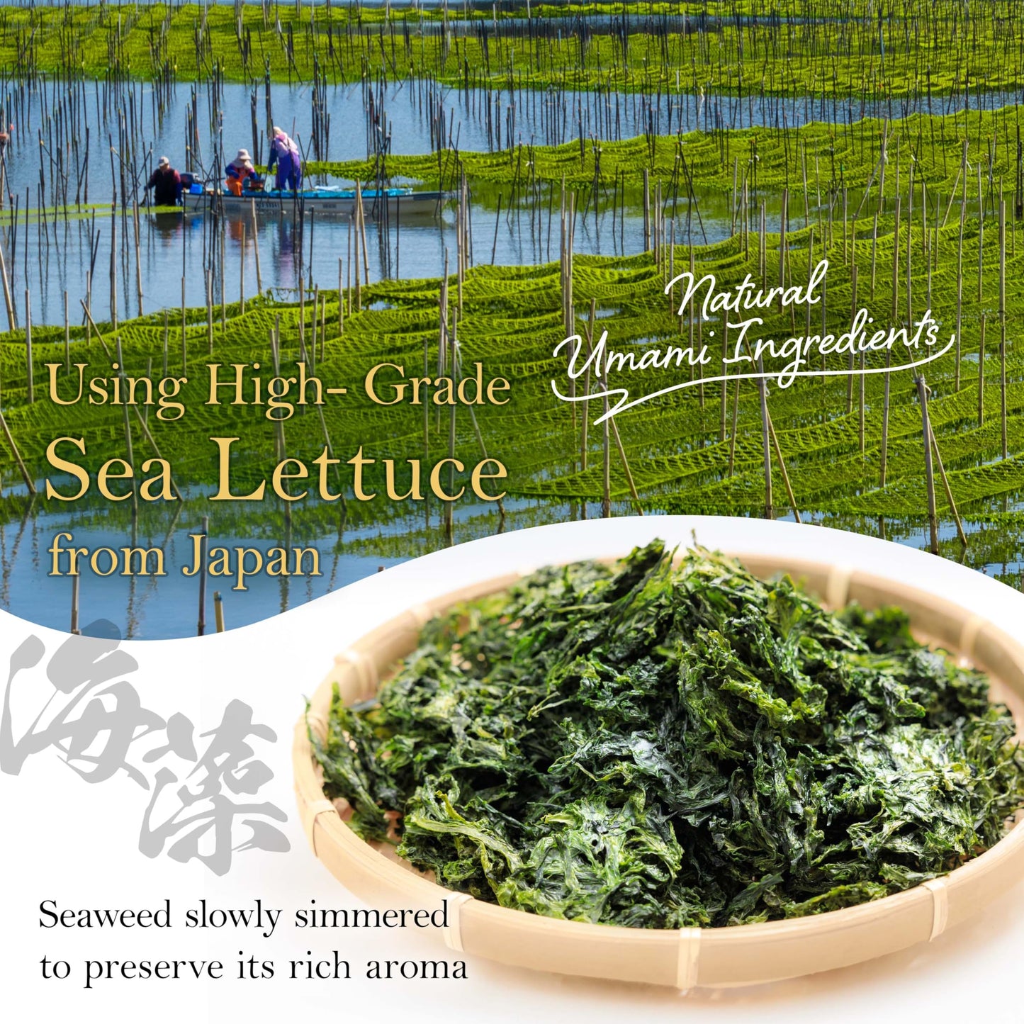 Yamasan Kyoto Uji Japanese Nori Tsukudani Simmered Seaweed Paste, Umami And Sweet, Vegan, Low Fat, Versatile Condiment For Toppi