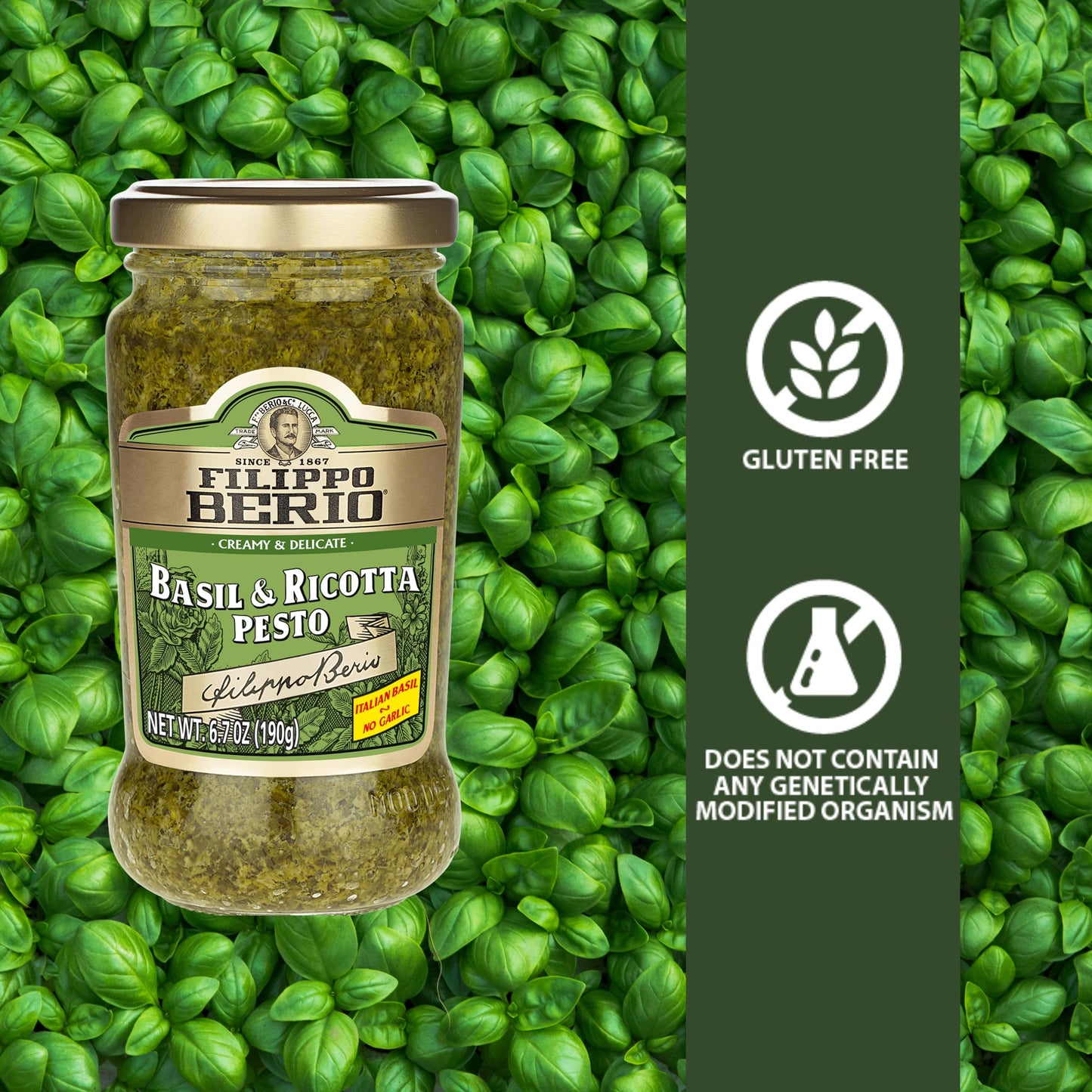 Filippo Berio Pesto, Basil & Ricotta, 6.7 Ounce Glass Jar