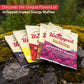 UnTapped Maple Organic Waffles 1.1 oz Each, Box of 16 - Endurance Sports Snacks Sweetened with Real Maple Syrup and Maple Sugar