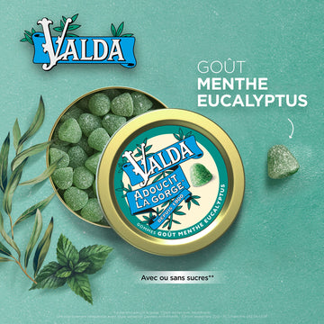 Valda Gommes Got Menthe Eucalyptus Sans Sucre (160 G)
