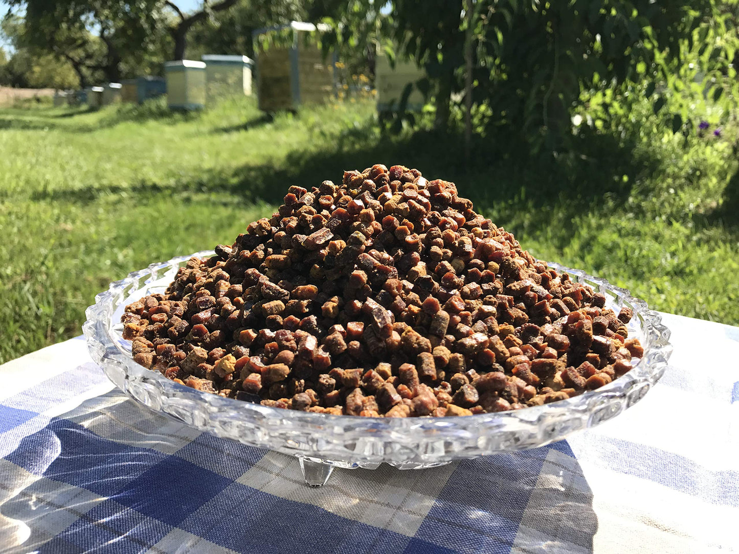 Fresh Organic Bee Bread, Naturally Fermented Pollen, Perga, 1 Pound, 460G., 2021 Harvest