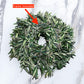Fresh Eucalyptus Wreath Living Leaves 24'' [California] Baby Blue Variety [Shipped Overnight] For Front Door Natural Wreath For