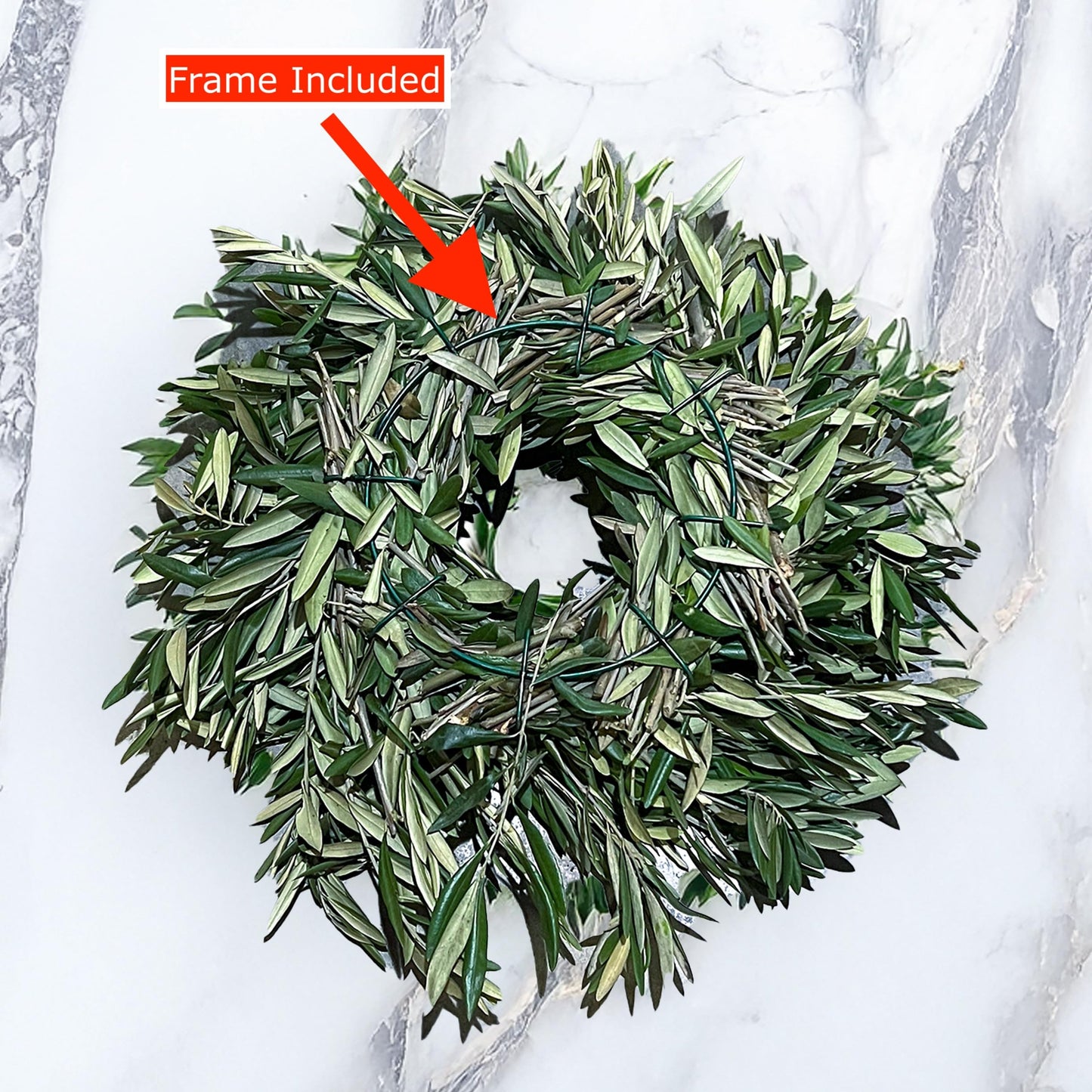 Fresh Eucalyptus Wreath Living Leaves 24'' [California] Baby Blue Variety [Shipped Overnight] For Front Door Natural Wreath For