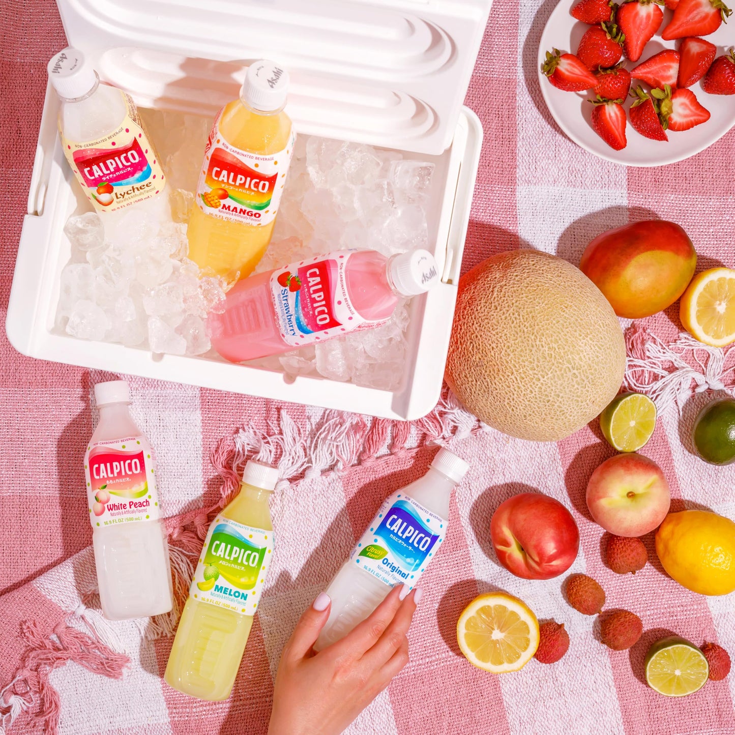 CALPICO Lychee - Smooth, Creamy & Refreshing Non-Carbonated Beverage, Sweet and Tangy, Japanese Lactic Acid Drink, 16.9 Fl oz (P