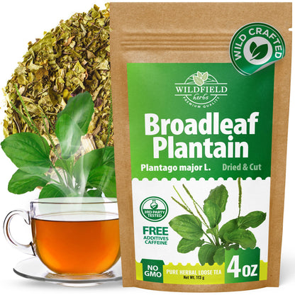 4 oz. Broadleaf Plantain Leaf Herb Tea Dried Plaintains Leaves (Plantago Majoris Folia) - 113g Greater Plantain Leaf Tea Llanten