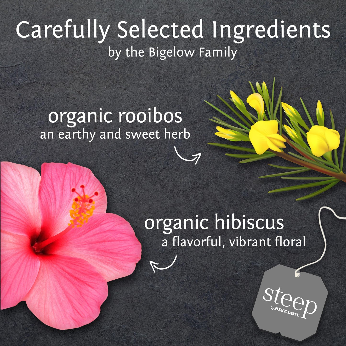 Bigelow Tea Organic Rooibos Hibiscus Herbal Tea, Caffeine Free, 20 Count (Pack of 6), 120 Total Tea Bags