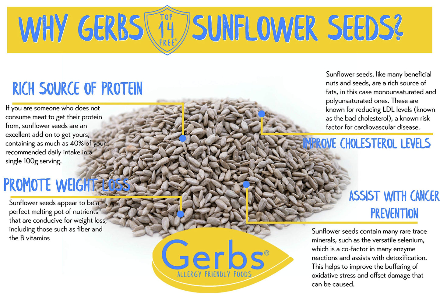 GERBS Sea Salted Sunflower Seed Kernels – 2 LBS, Top 11 Allergen Free, Non-GMO, Premium Dry Roasted, Product of USA