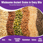 Cooper Street Granola Bakes (48 Count) - Soft and Chewy Breakfast Granola Bars Variety Pack - Nut  Dairy & Soy Free - Individually Wrapped Healthy Snacks for Kids  School  Work  Hiking & On-the-Go