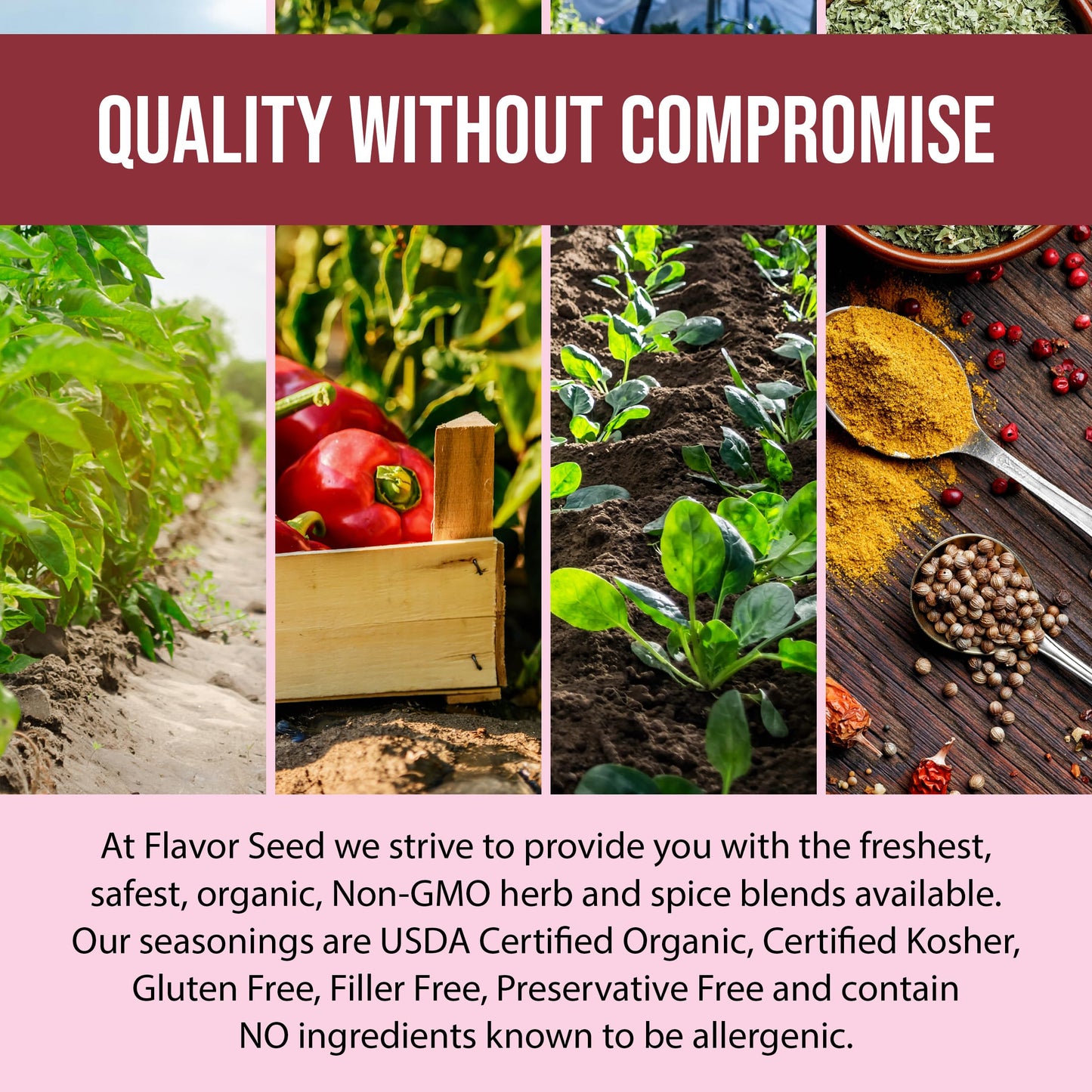 Flavor Seed Sugar Momma Organic Cinnamon Sugar Dessert Spice. Gluten Free Sweet Seasonings And Spices For Cooking & Baking. Garn