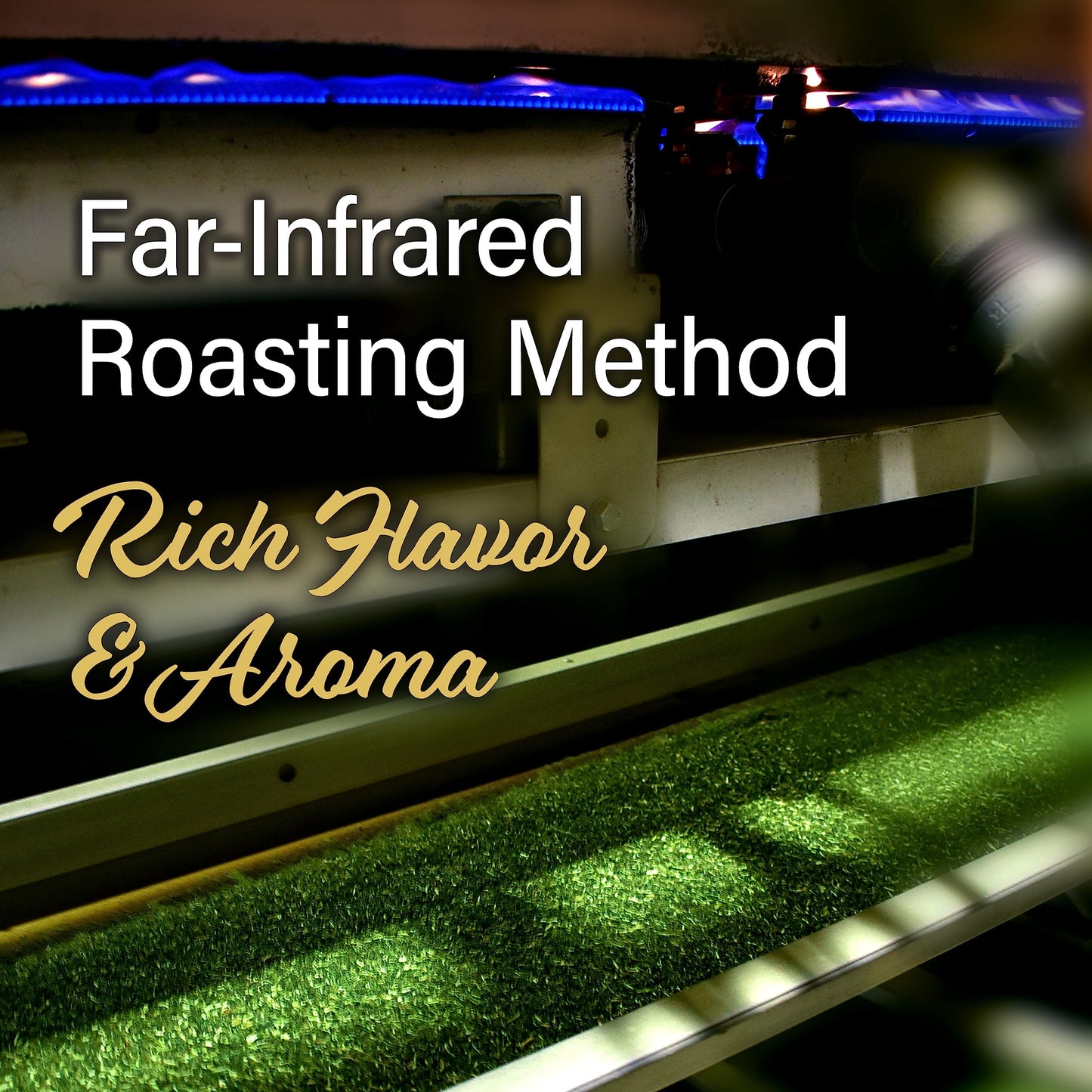 Green Tea Leaves Sencha, Jas Certified Organic, Japanese Tea, Uji-Kyoto, 80G Bag ?Yamasan?