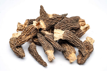 Slofoodgroup Dried Morel Mushrooms Gourmet 2 oz Brown Morels