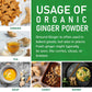 Jiva Organics Organic Ginger Root Powder, 1 LB Bulk - Non-GMO - for Cooking, Baking, Tea & More