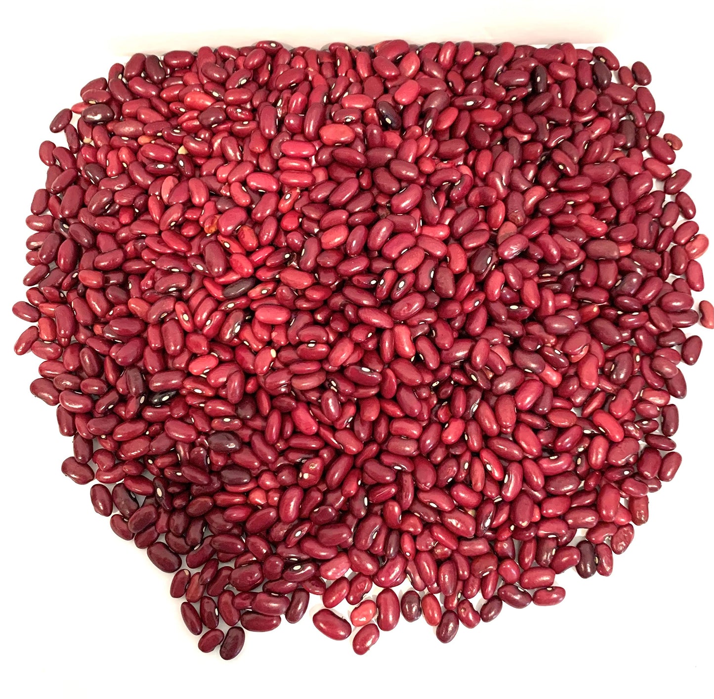 Frijoles rojos Honduras (Frijol rojo de seda) 100% (3 Libras) Centroamericano.