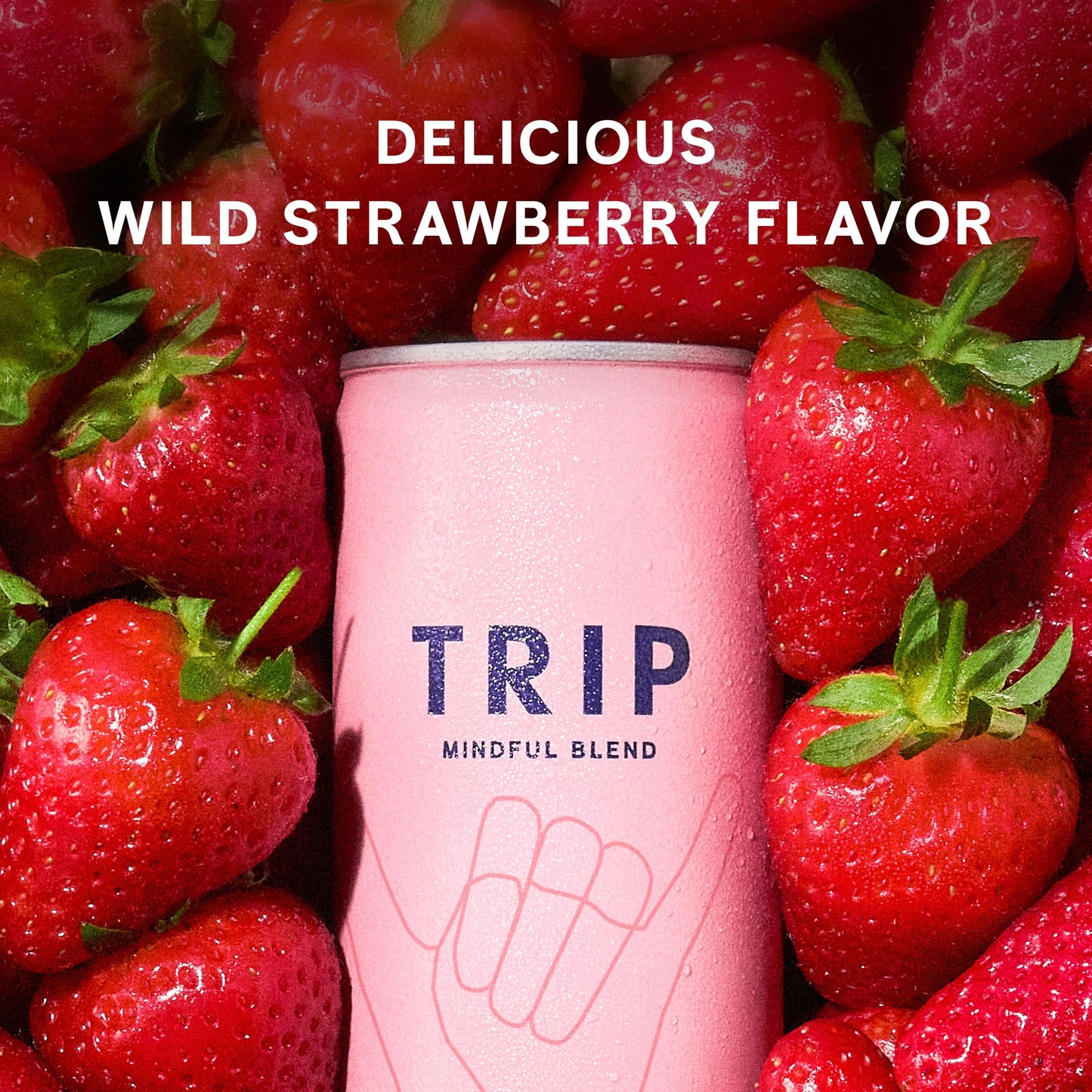 Trip Drink Mindful Blend  Lightly Sparkling Calming Drink  Adaptogen Drink 120 MG Magnesium Citrate with Ashwagandha  Lions Mane & L Theanine  No Added Sugar  Low Calorie  Vegan  Wild Strawberry  12 Oz  12Pk