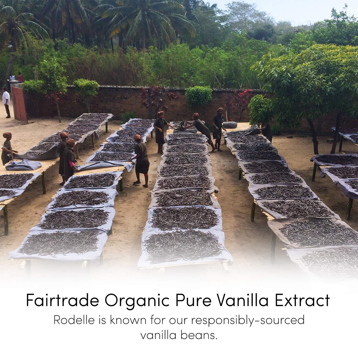 Rodelle Organic Pure Vanilla Extract, 4 Fl Oz - Fair Trade Quality
