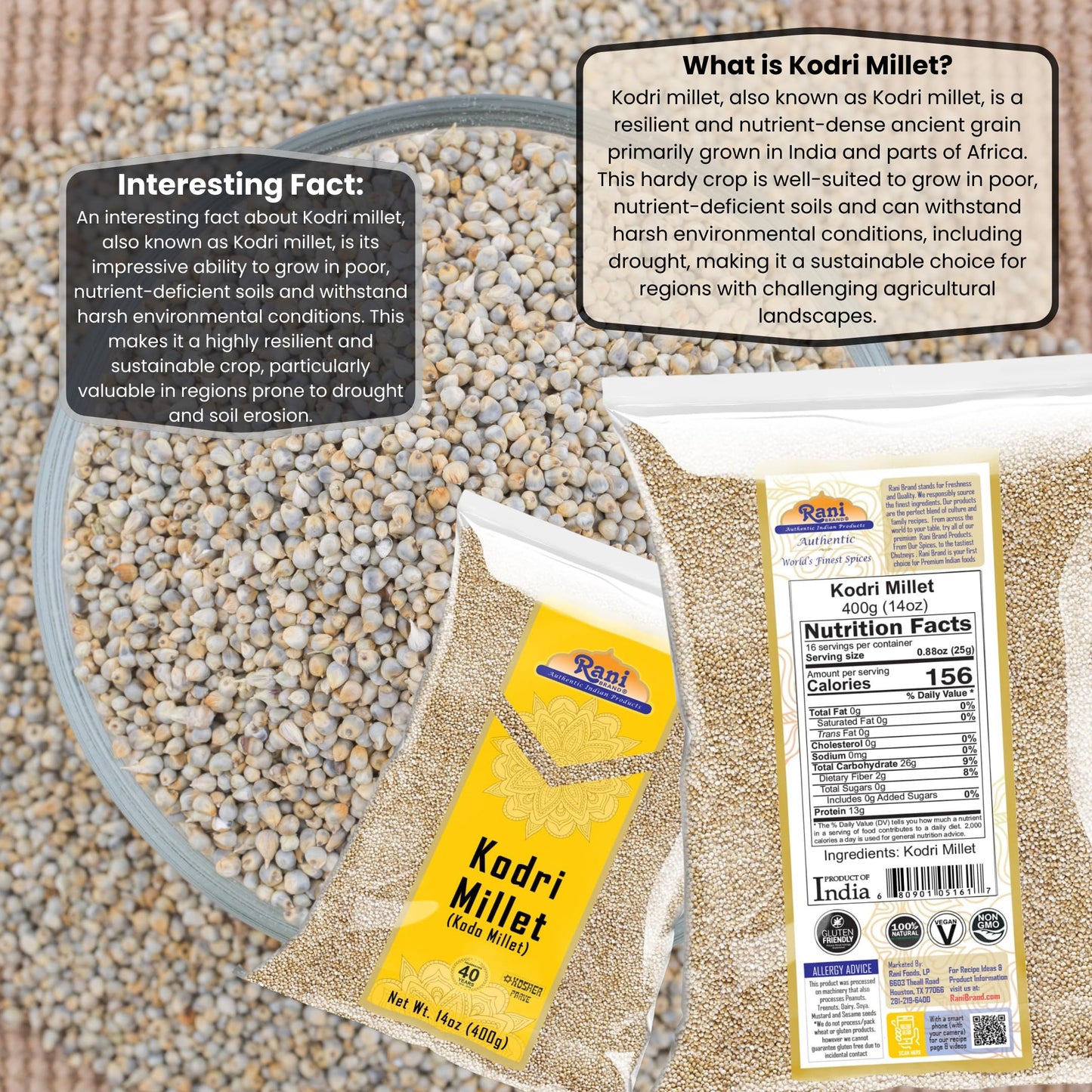 Rani Brand Kodo Millet Seeds - All Natural, Gluten Friendly, NON-GMO, Vegan - 400g (14oz) - Indian Origin