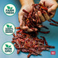 Rico Rico Chile De Arbol 4 Oz - Enhanced Dried Arbol Chili Peppers, Spicy Hot Heat For Mexican, Chinese & Thai Dishes, Resealable Bag