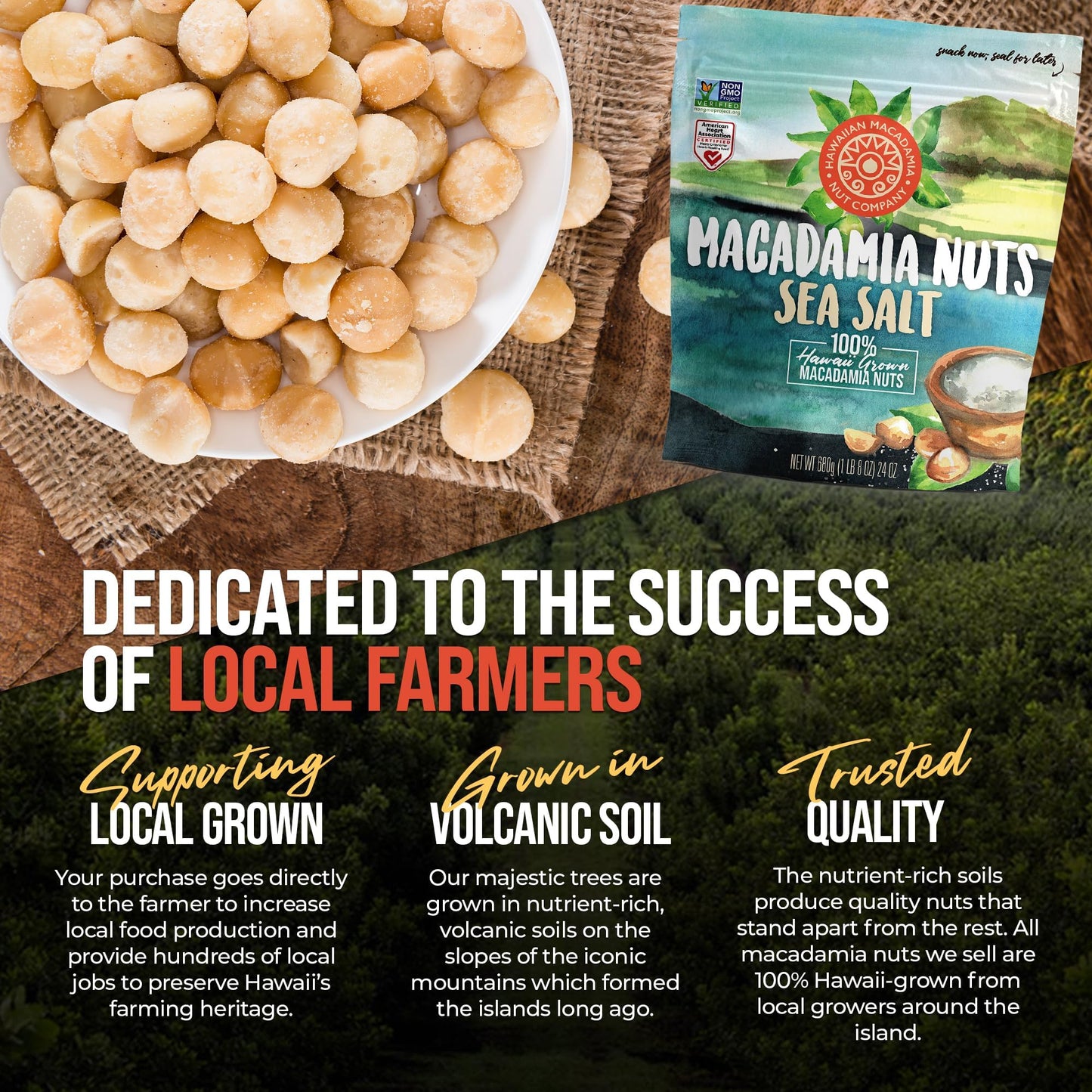 Hawaiian Macadamia Nut Company Dry Roasted Macadamia Nuts, Sea Salt, 24 Oz (Pack of 2), Gluten-Free, Non-GMO, Crunchy Snack