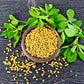 Organic Fenugreek Seeds, 5 Pounds - Non-GMO, Raw, Whole Methi, Kosher, Vegan, Bulk, Rich in Iron, Copper and Fiber