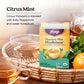 Yogi Tea Mandarin Mint Mindfulness - 16 Tea Bags Per Pack (4 Pack) - Organic Mandarin Mint Tea - Calming Herbal Tea - Includes A