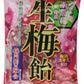Ribon Nama Ume Plum Hard Candy, 3.87 Ounce