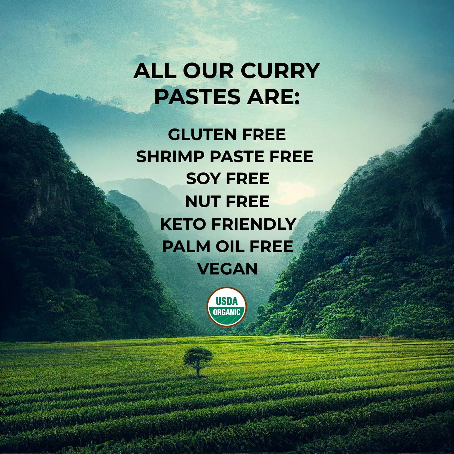 Penang Curry Paste ORGANIC. VEGAN. DAIRY FREE. SUGAR FREE. KETO FRIENDLY. MADE IN THAILAND. | case of 6 x 2.8 oz pouches