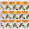 El Milagros Corn Tortillas, No Preservatives, Non-GMO, Fresh from Chicago - 12 Packages (144 Tortillas) (12 Pack Paper)