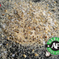 Pit Beast Garlic AF - Garlic, Salt, and Pepper BBQ Rub Seasoning | ALL PURPOSE EXTREME GARLIC FLAVOR SPICE BLEND | Chicken, Past