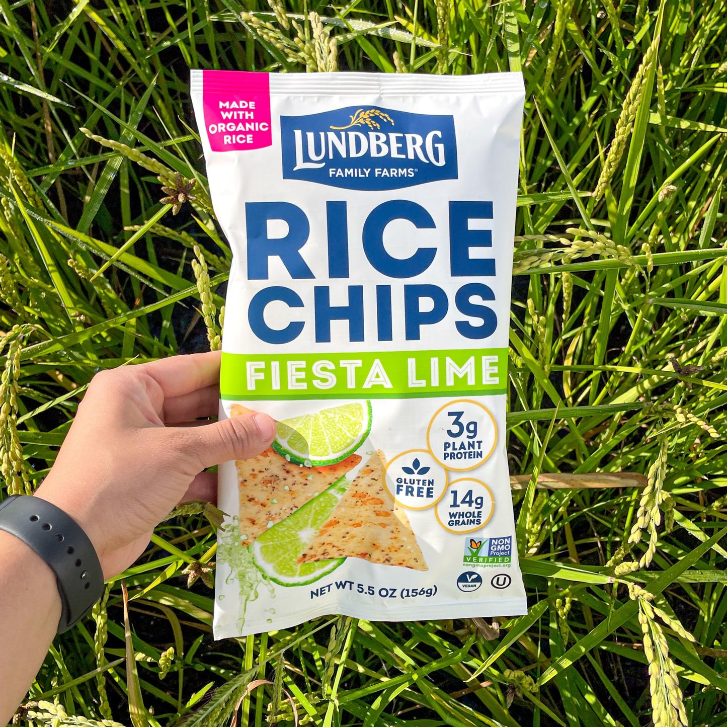 Lundberg Rice Chips, Fiesta Lime, 5.5oz, Gluten-Free, Kosher, Non-GMO Verified, Whole Grain Brown Rice