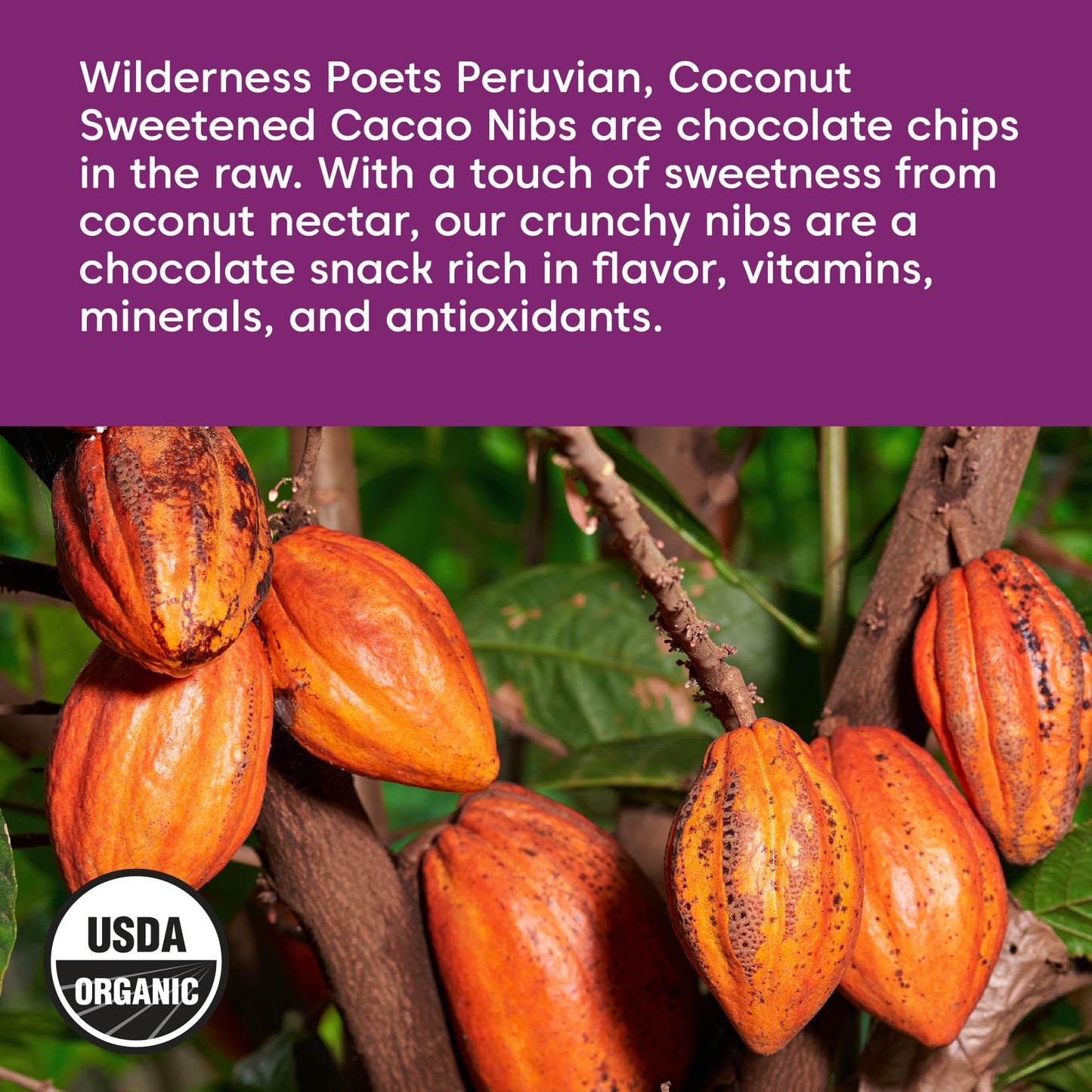 Wilderness Poets Cacao Nibs (Sweetened With Coconut Nectar) - Organic Raw Cacao Nibs - (8 Ounce - 227G)