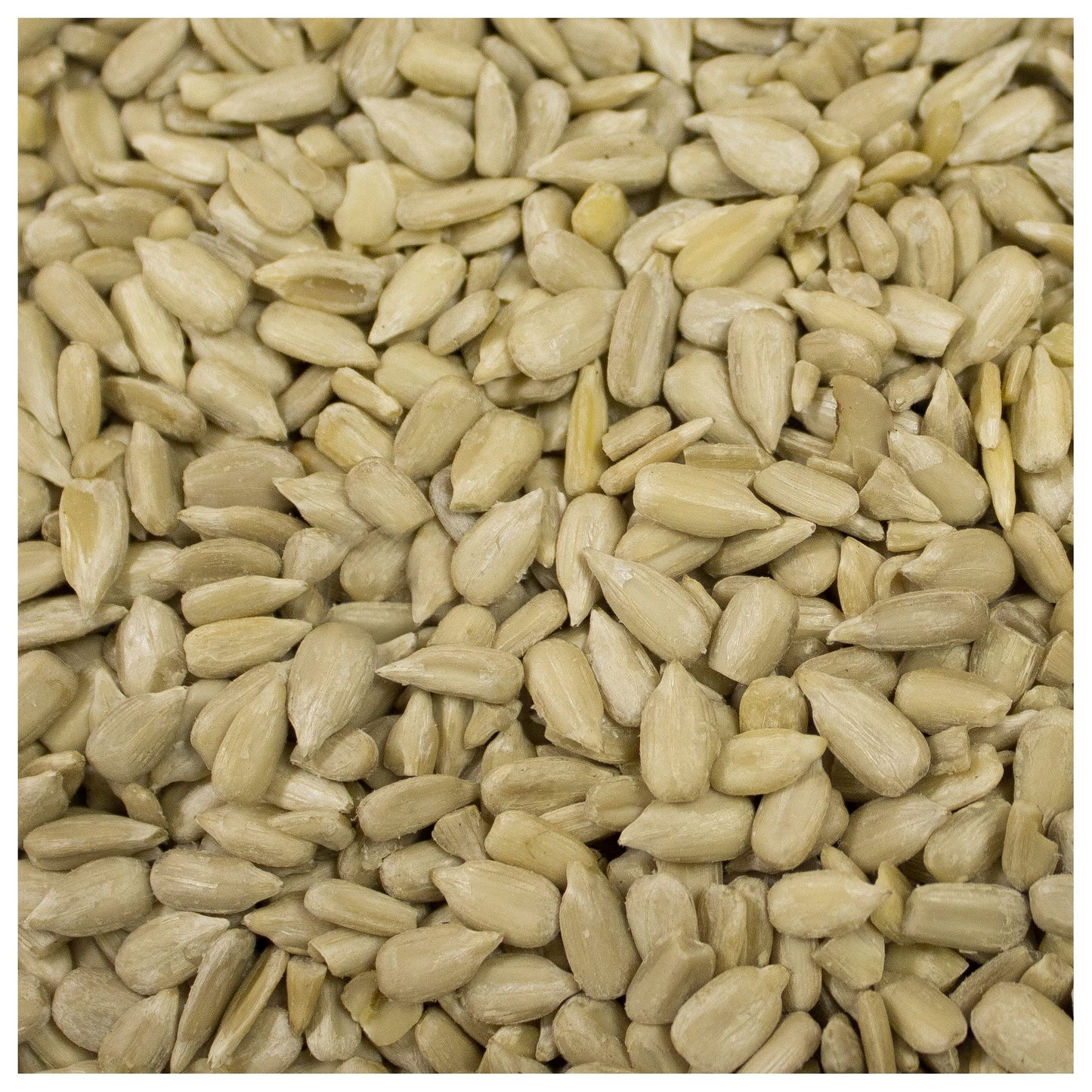 Sunflower Seeds Shelled Roasted Unsalted, 25 Lbs. Bulk Case, Kosher
