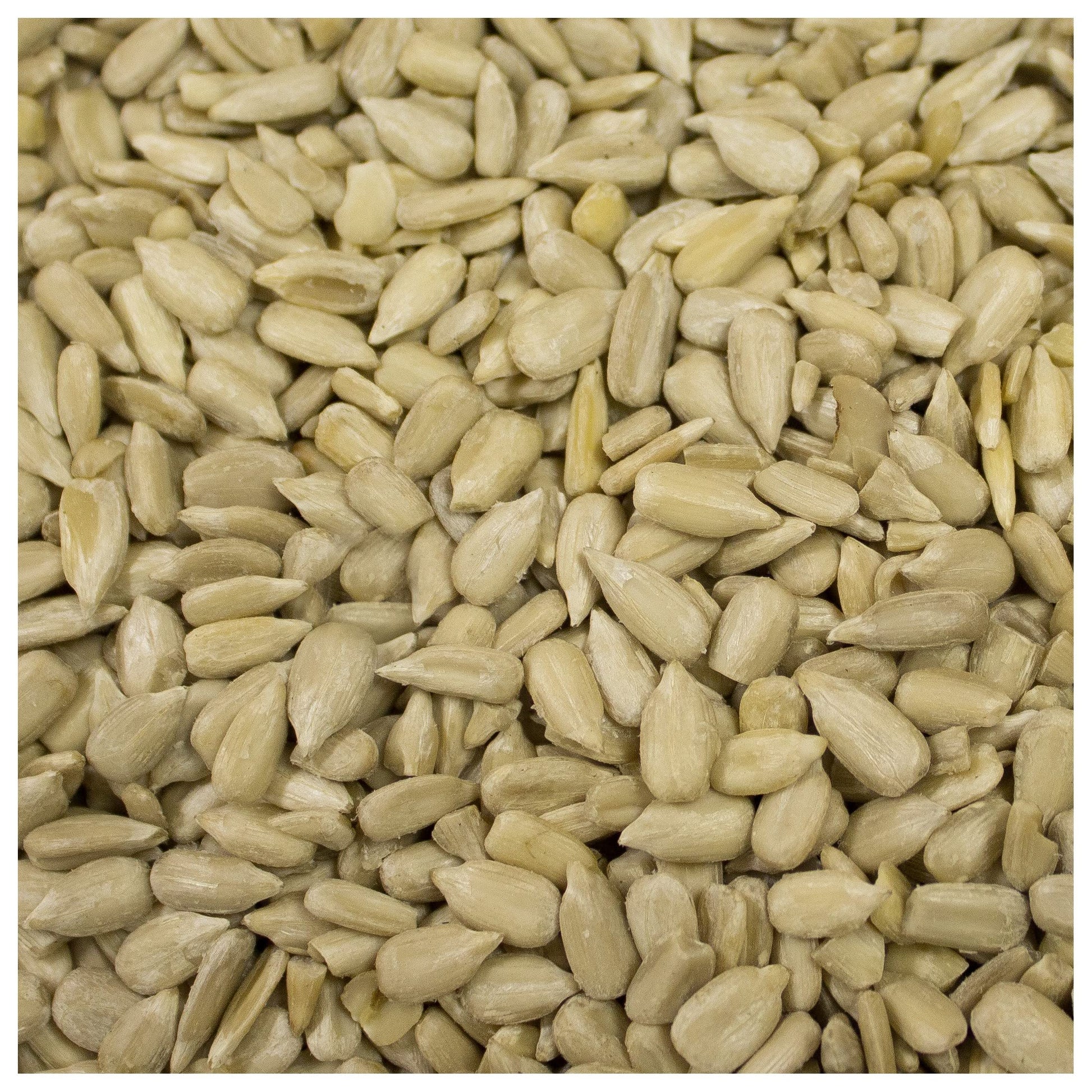 Sunflower Seeds Shelled Roasted Unsalted, 25 Lbs. Bulk Case, Kosher
